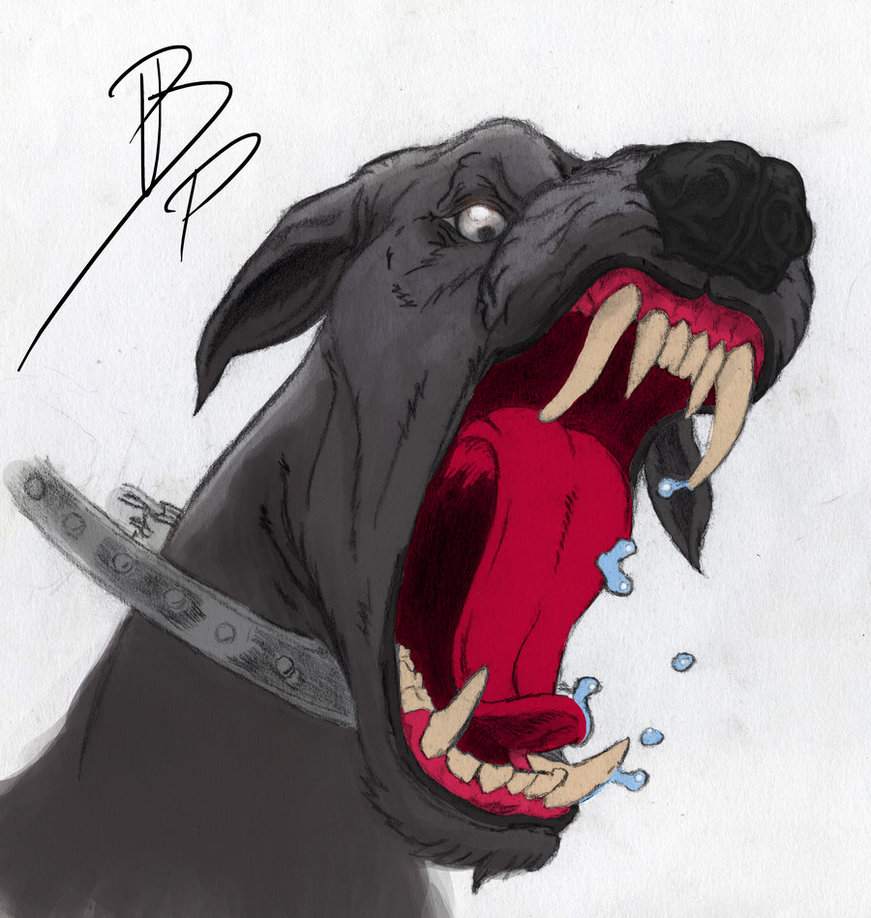 871x918 Mad Dog By Blair Piasdottir