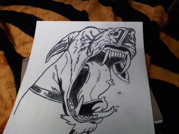 604x453 Mad Dog Drawing By Dustinpowell