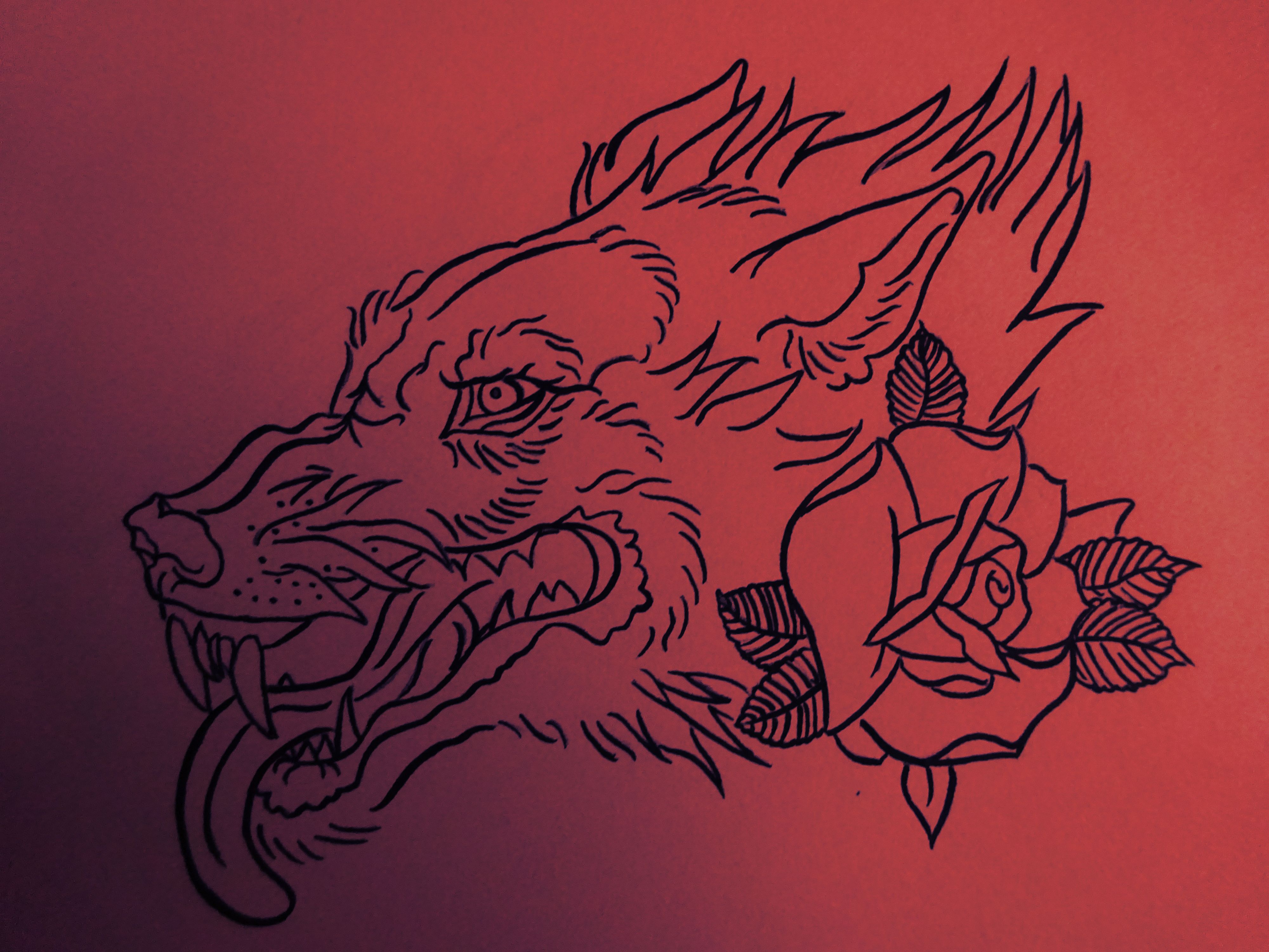 4000x3000 Mad Wolf And Small Rose