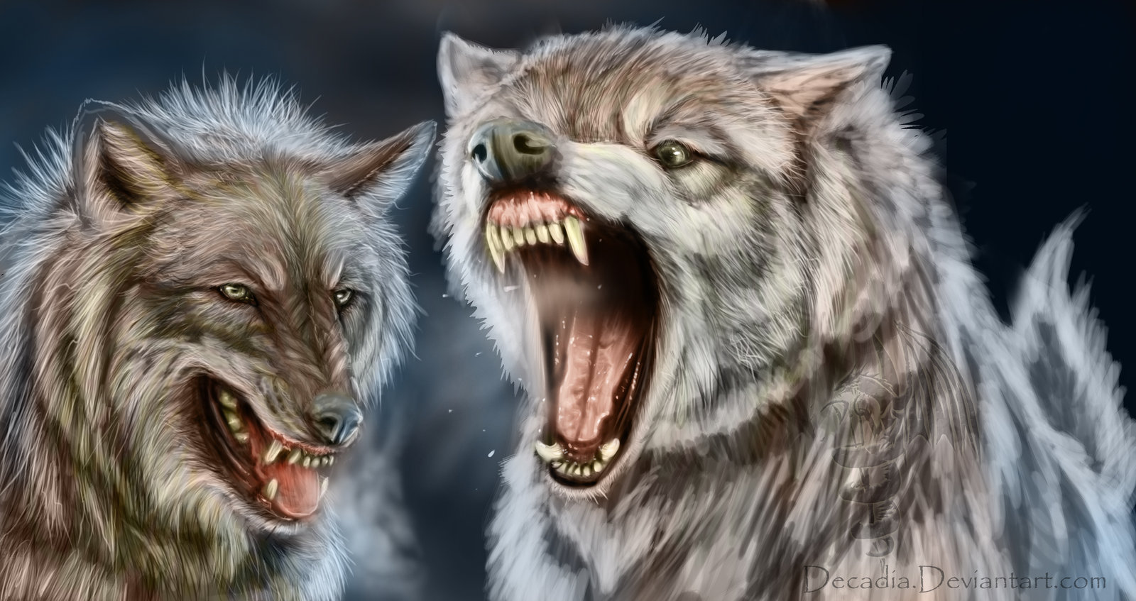 1600x847 Pf17 Mad Wolf Wallpapers, Mad Wolf Backgrounds In High Quality, W