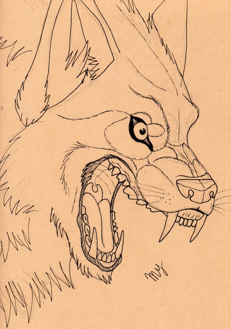 750x1066 Mad Wolf Face Doodle By Suenta Deathgod