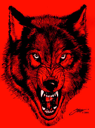 374x504 The Mad Wolf. By Thesoulwave