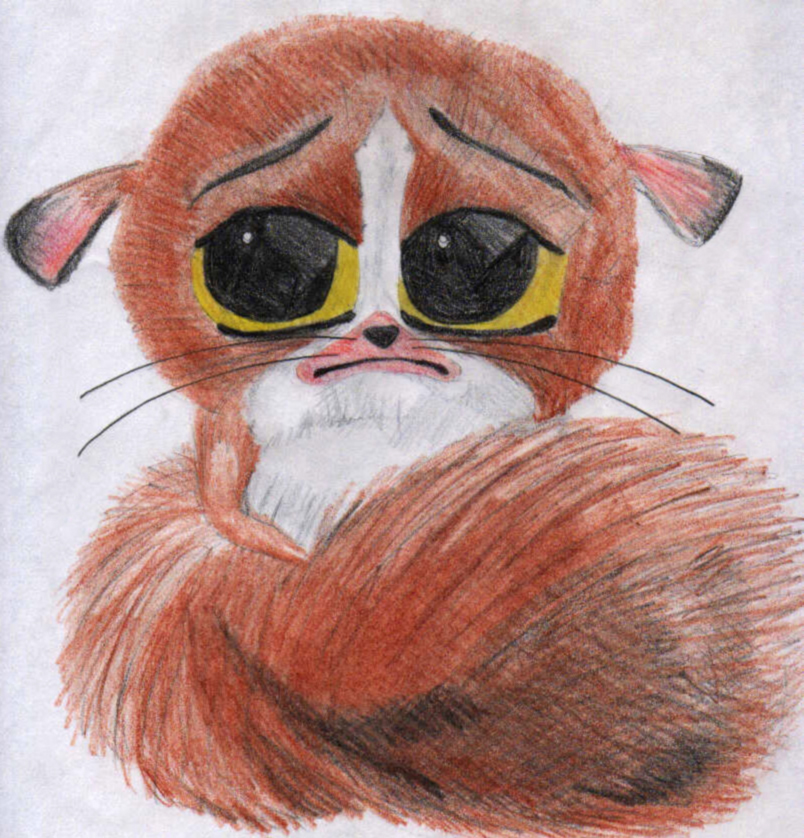 804x838 Cute Fuzzy Madagascar Thingy By Chazychaz