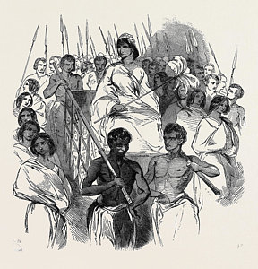 288x300 Madagascar Drawings Fine Art America