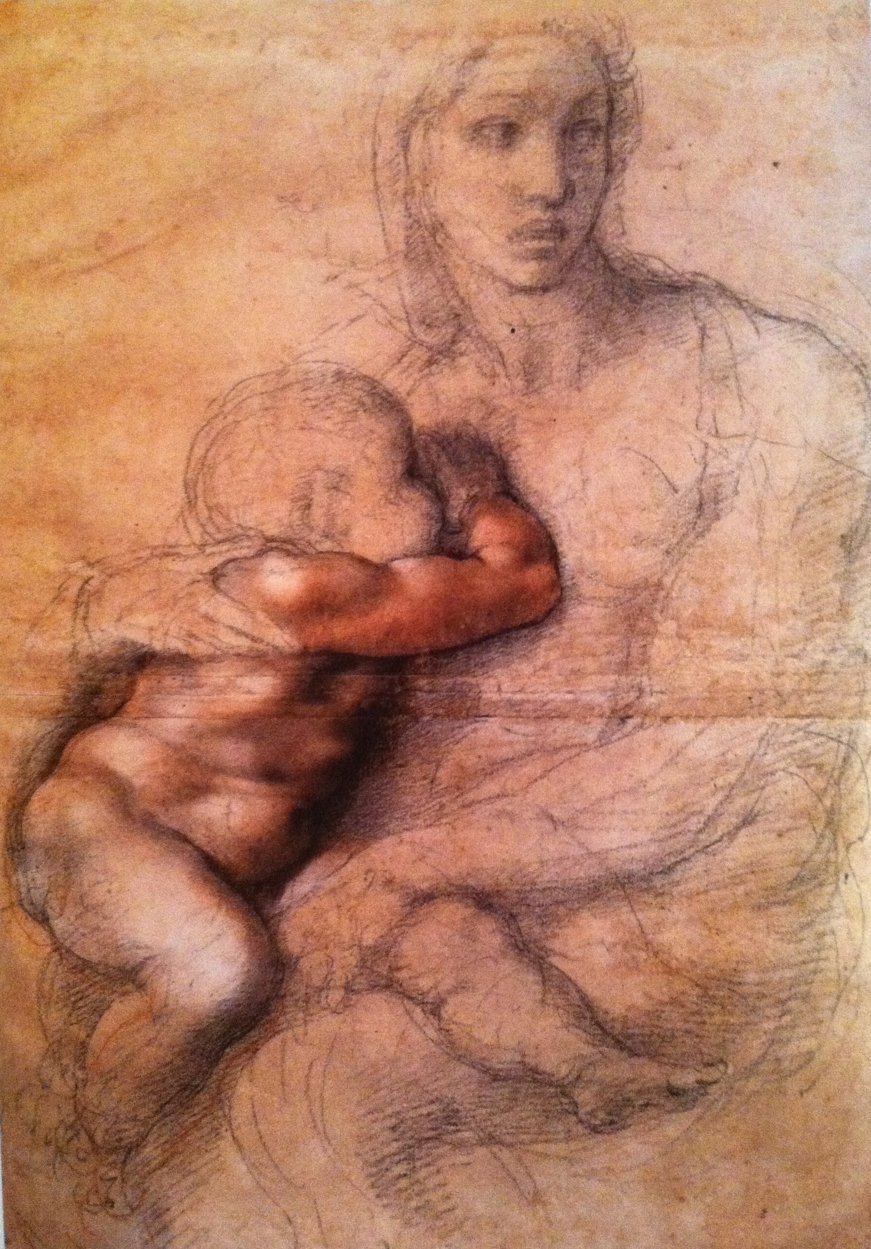 1778x2550 Madonna And Child Michelangelo Drawing