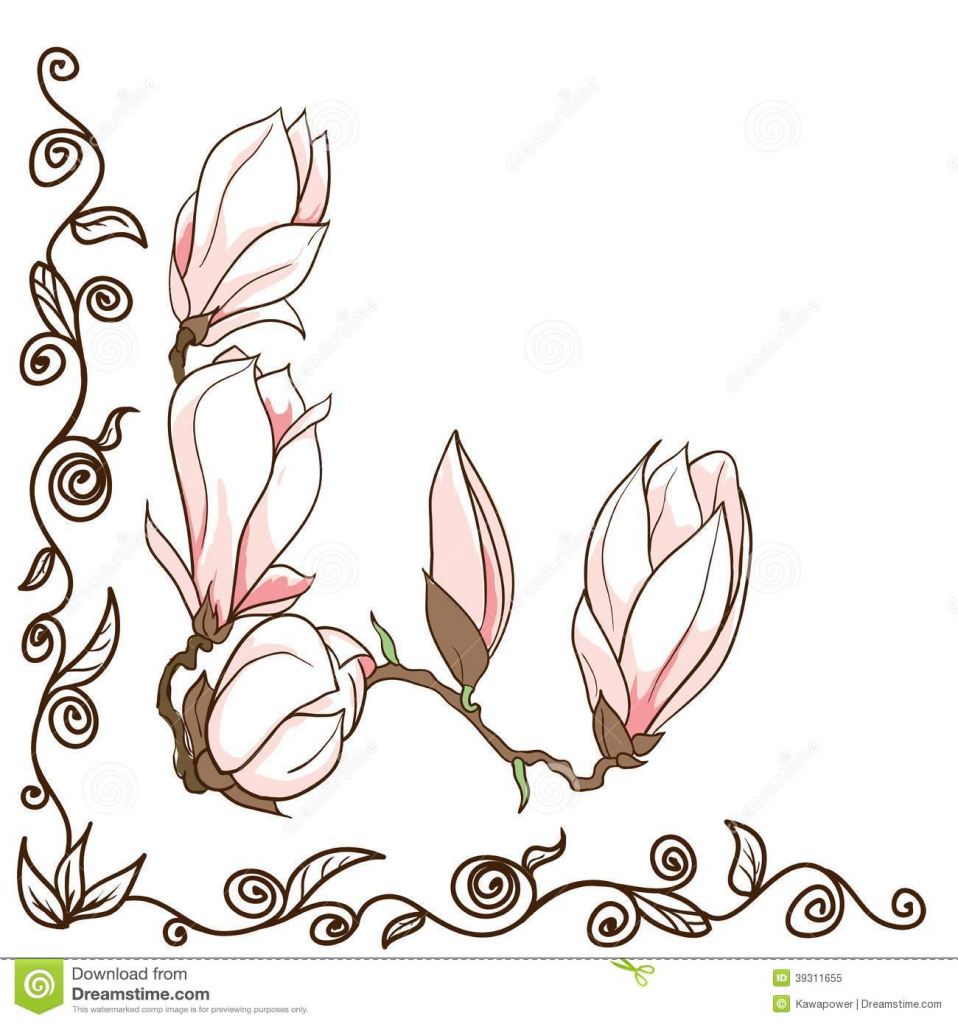 958x1024 Magnolia Flower Drawing Vector Hand Drawn Magnolia Flowers Corner