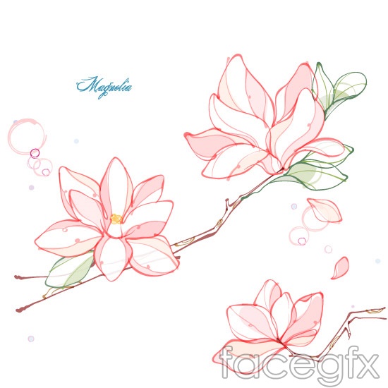 550x550 Magnolia Flower Line Drawing Vector Printables