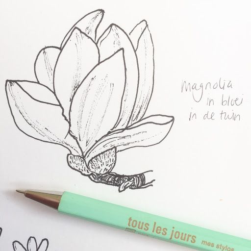 512x512 Pen Drawing Of A Magnolia Flower, Drawing This One For A Poster