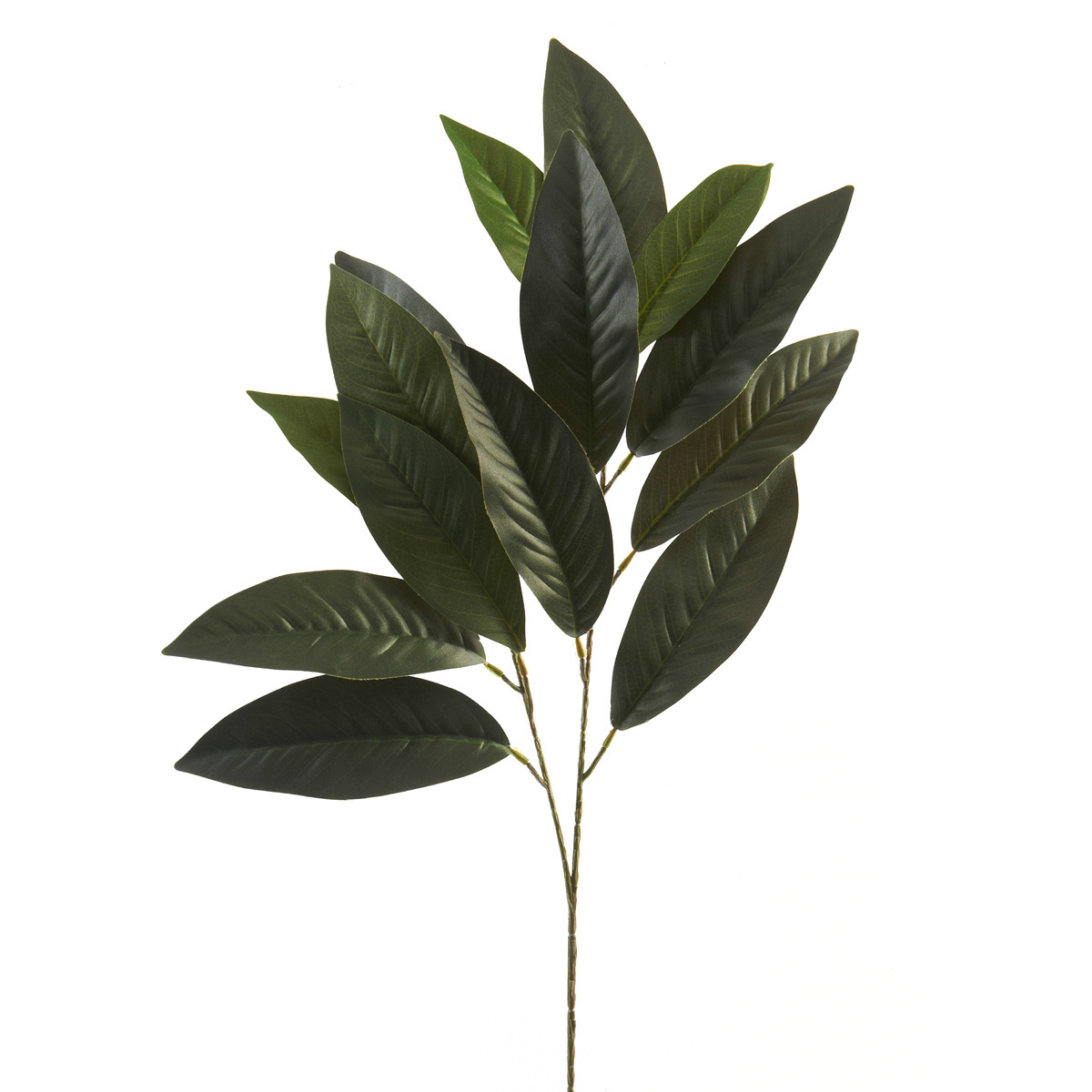 1200x1200 Floral Essentials Magnolia Leaf Spray