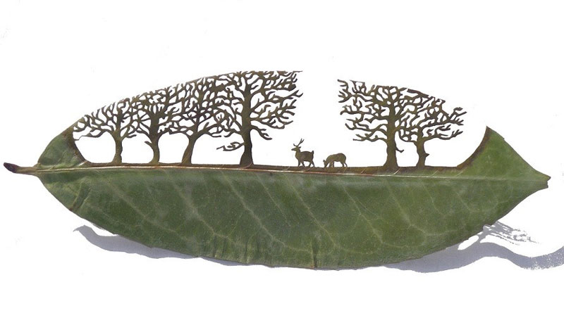 800x445 Leaf Beasts Animal Sculptures Made From Dried Magnolia Leaves