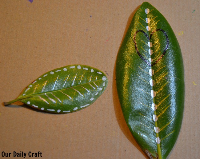 650x517 Magnolia Leaf Drawings
