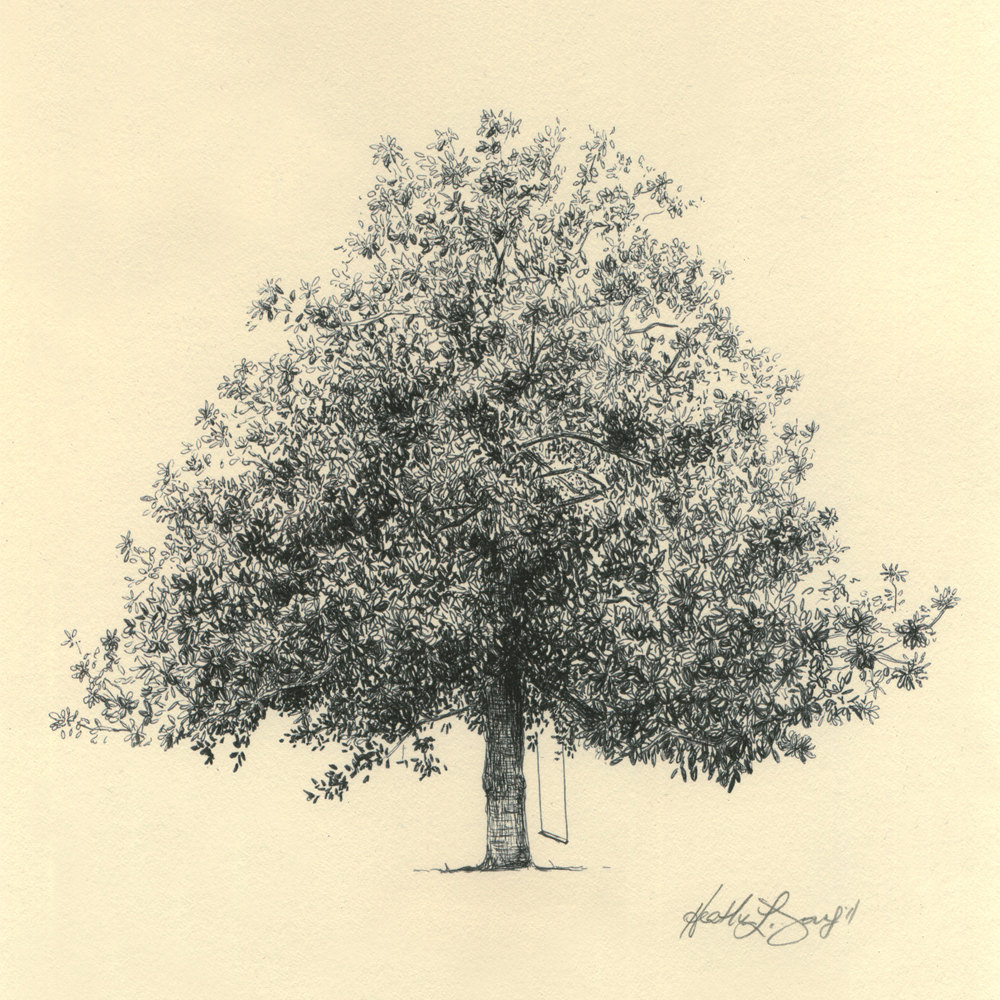 Magnolia Tree Drawing at GetDrawings | Free download