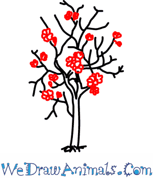 300x350 Magnolia Tree 05.png