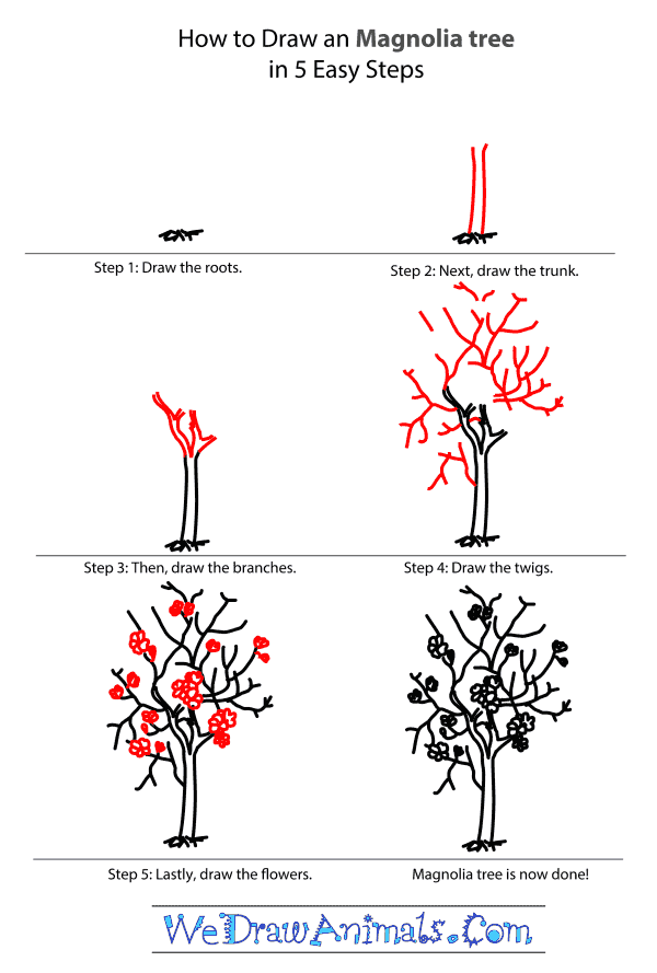 600x889 Magnolia Tree Tutorial.png