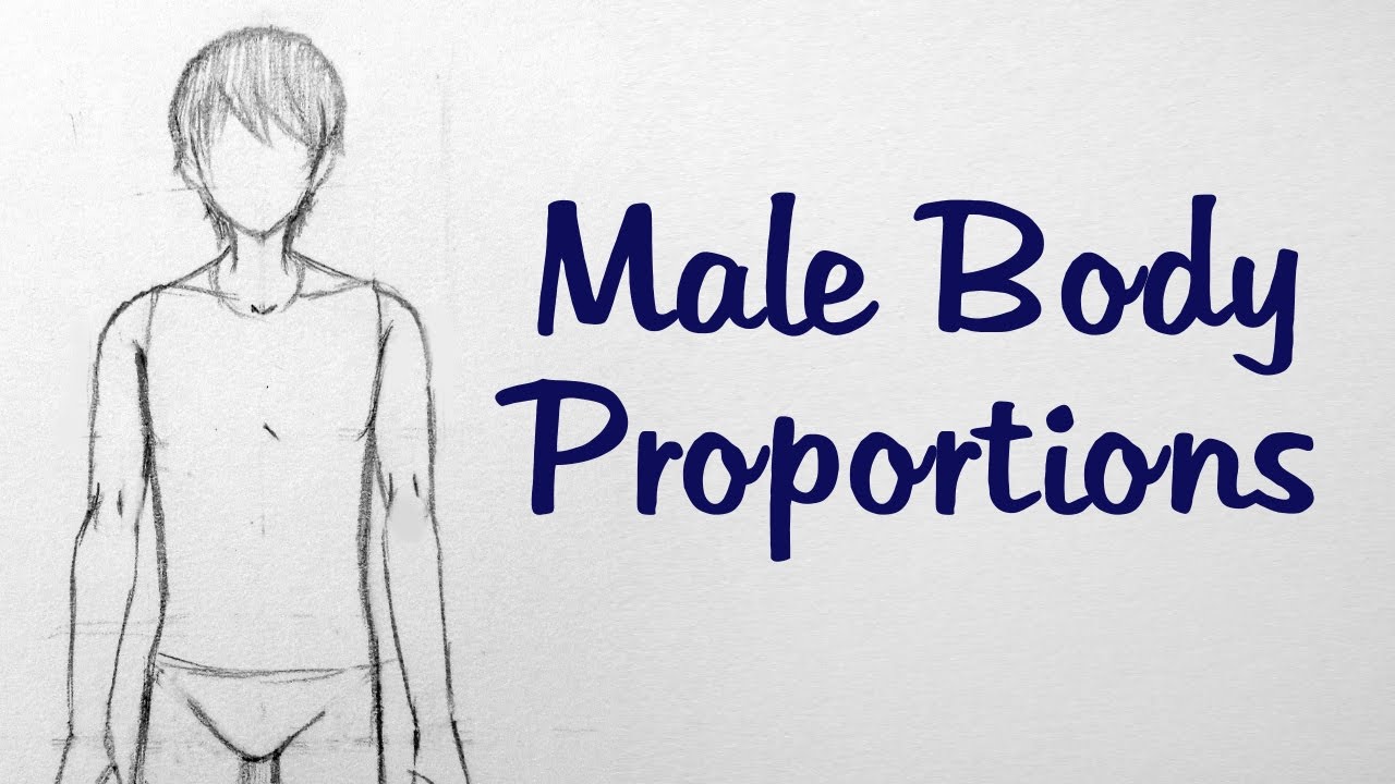 1280x720 How To Draw Manga Male Body Proportions
