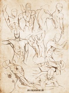 236x316 Male Body Study Vi  By Jinx On @