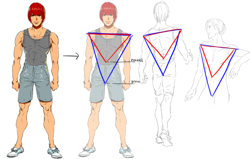 990x632 Let's Draw Male Vs. Female Anatomy
