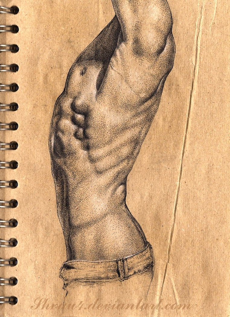 762x1049 Male Anatomy Drawing By Shvau4