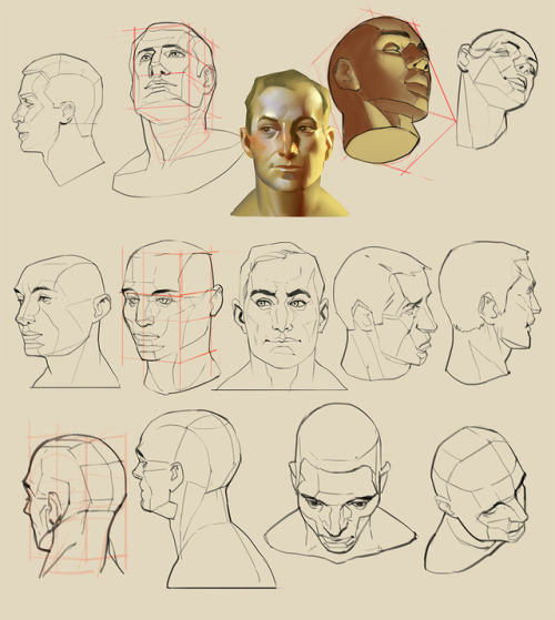 500x559 How To Draw Male Faces Tumblr