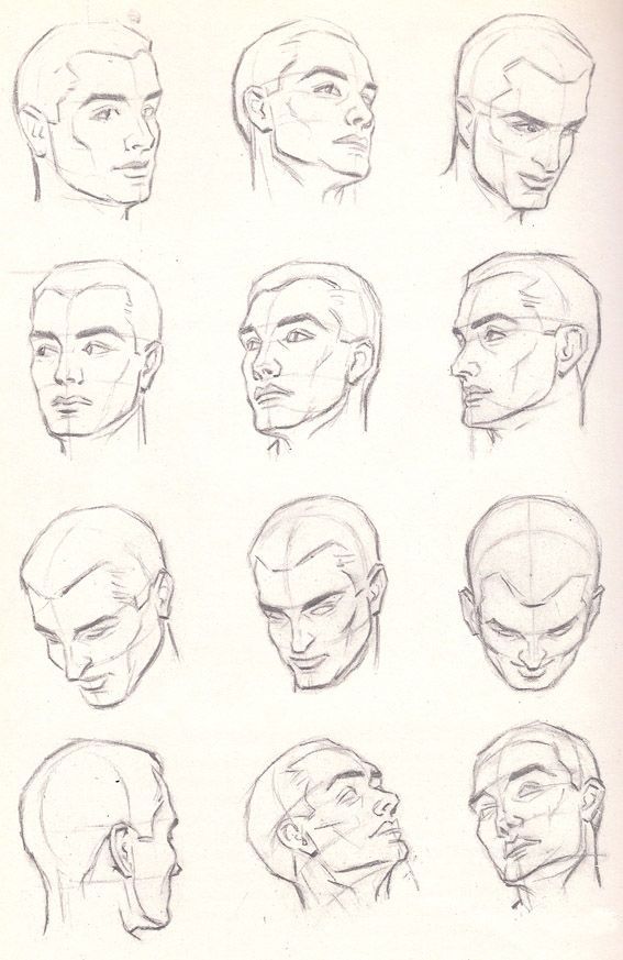 567x873 How To Draw The Male Head Anatomy