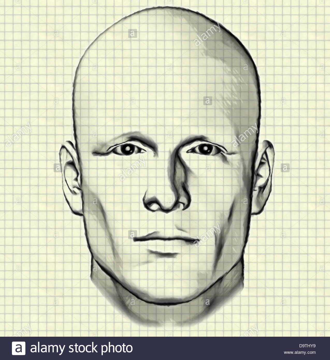 1274x1390 Sketch Of Male Figure Portrait Drawing Of Man's Head On Graph
