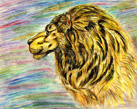 450x357 Stylized Hand Drawing Sketch Of Male Lion Head. Stock Photo