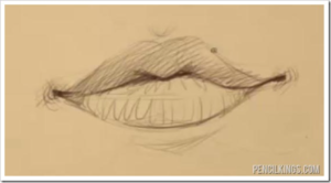 300x166 How To Draw The Male And Female Mouth