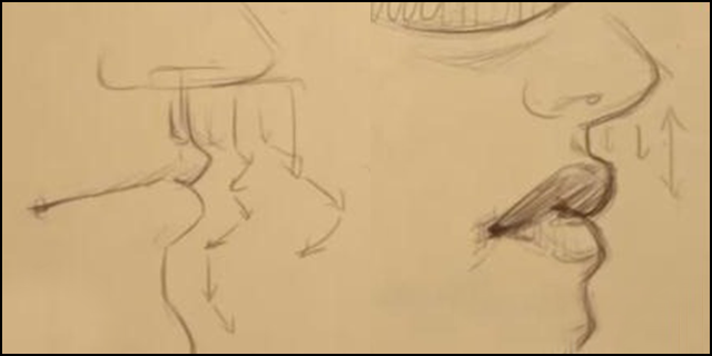 640x320 To Draw The Male And Female Mouth