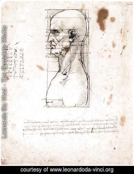 463x600 Leonardo Da Vinci