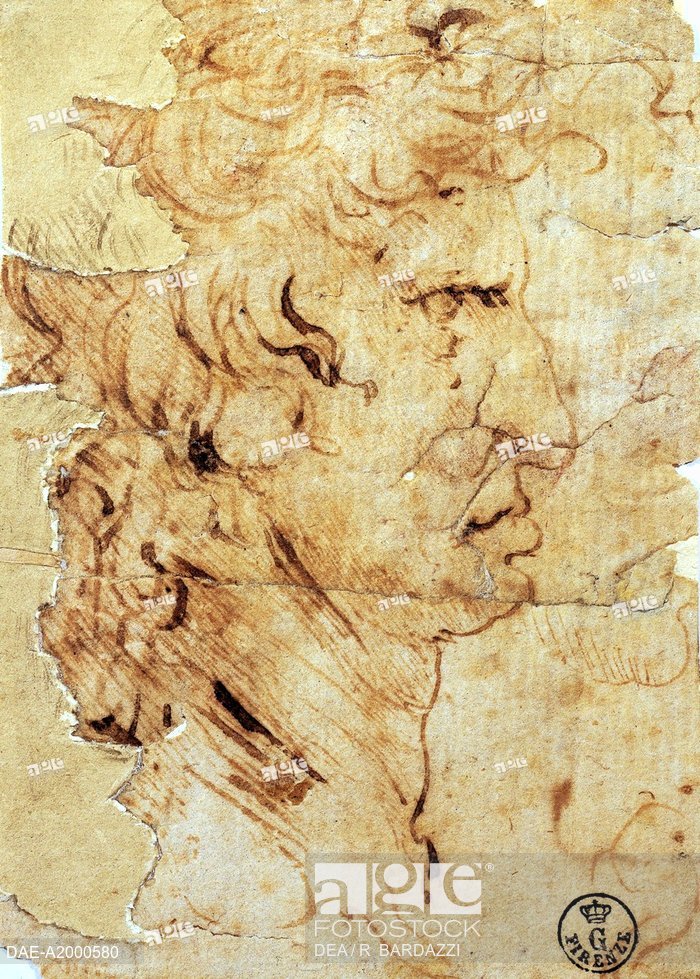 700x979 Male Profile, By Leonardo Da Vinci (1452 1519), Drawing 449e Recto