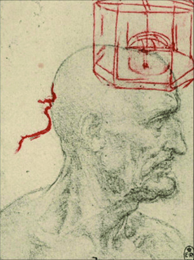671x899 Study Of A Male Profile By Leonardo Da Vinci (Royal Library
