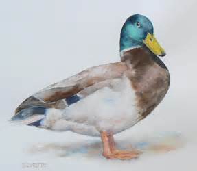 287x250 Watercolor Duck Painting Watercolor Duck