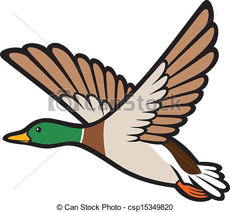 450x414 Mallard Duck Flying (Bird Duck, Flying Duck) Vector Illustration