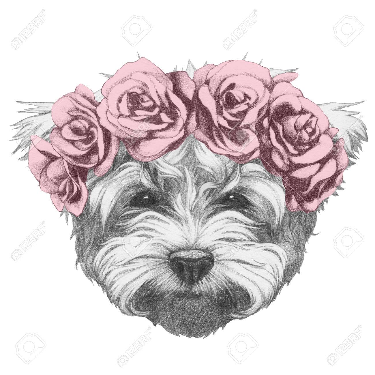 1300x1300 Original Drawing Of Maltese Poodle With Floral Head Wreath