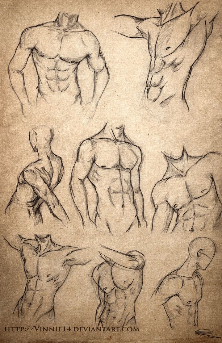 719x1111 Male Body Sketches