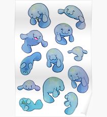 210x230 Manatee Drawing Posters Redbubble