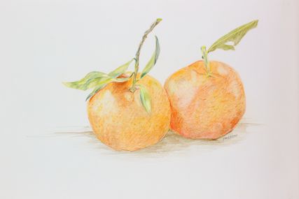 427x285 Mandarin Orange Or Tangerine (Citrus Tangerina) Arts Books