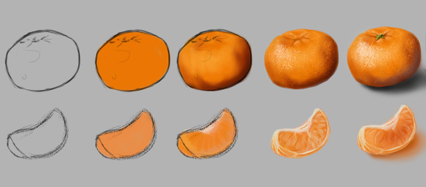 830x365 Work Through For Drawing A Mandarin