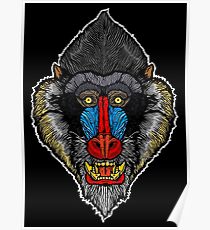 210x230 Mandrill Drawing Posters Redbubble
