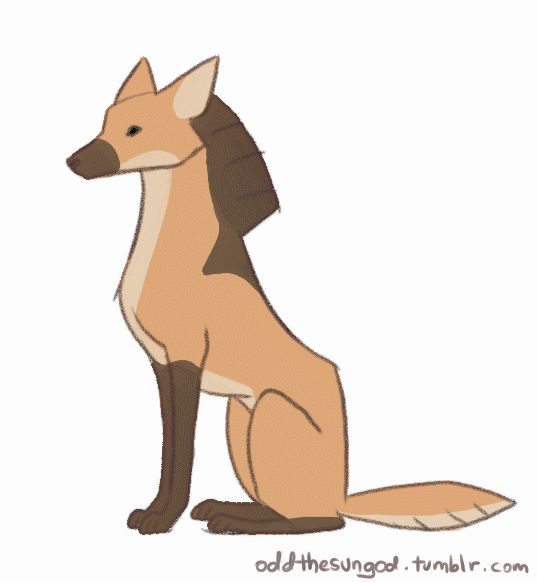 537x583 The Most Actual Look My Fursona. Let's Pretend That She's A Maned