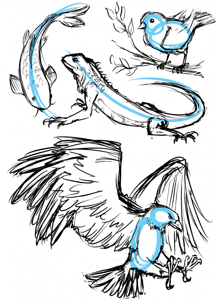 724x1024 How To Draw Manga Animals Drawing Animals In Manga Letraset Blog