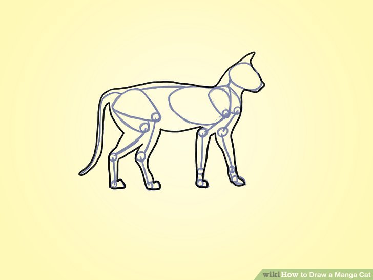 728x546 How To Draw A Manga Cat 7 Steps (With Pictures)