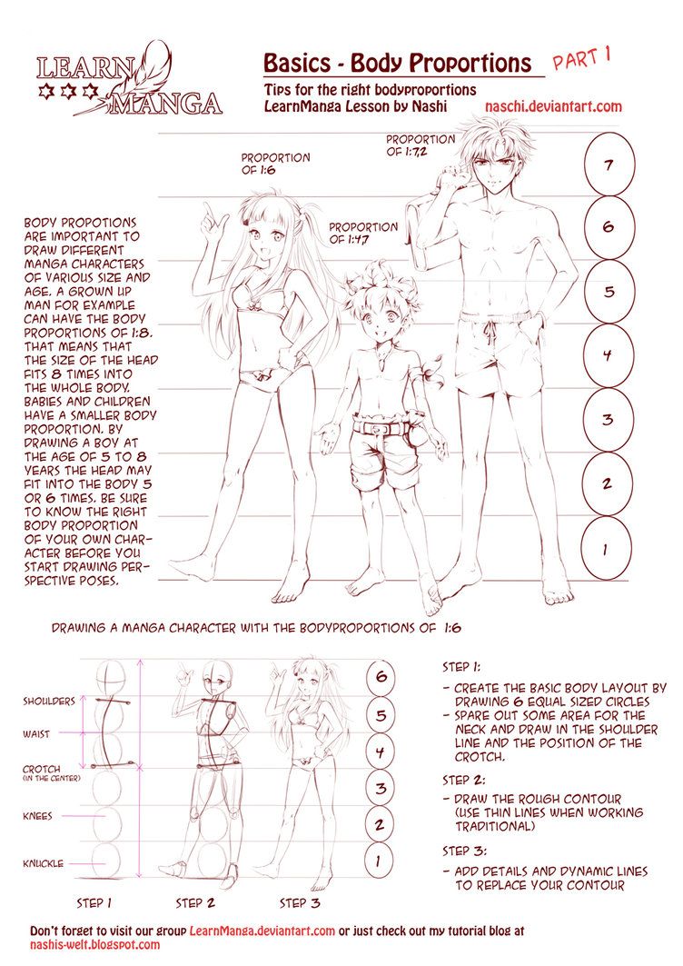 752x1063 Learn Manga Body Proportions By Naschi Illustration