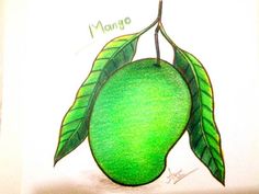 236x177 How To Draw A Mango