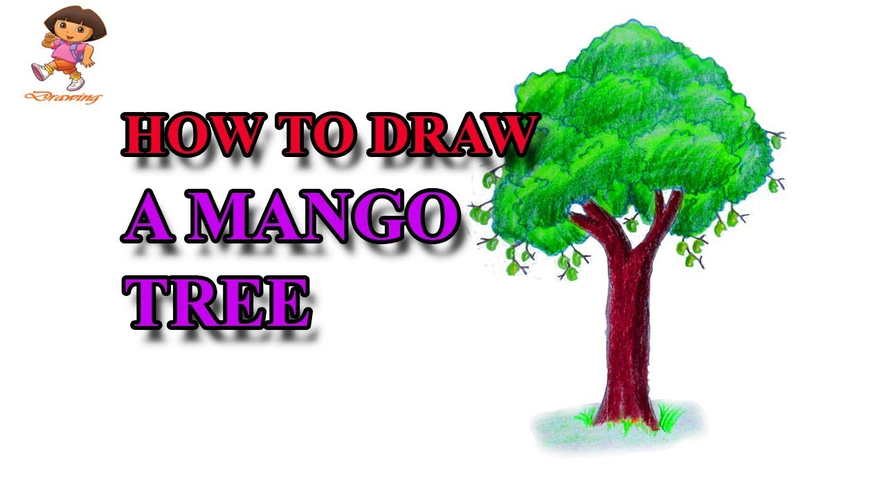 1280x720 How To Draw Mango Tree Step By Step