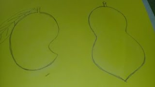320x180 How To Draw Papaya Step By Step (Very Easy) Music Jinni