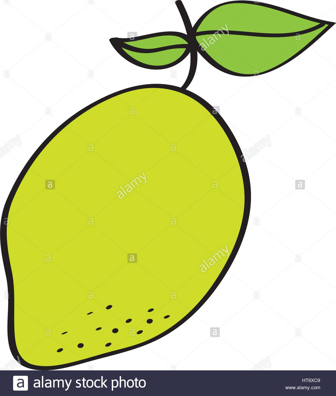 1179x1390 Mango Fresh Fruit Drawing Icon Stock Vector Art Amp Illustration