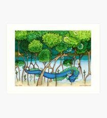 210x230 Mangrove Drawing Art Prints Redbubble