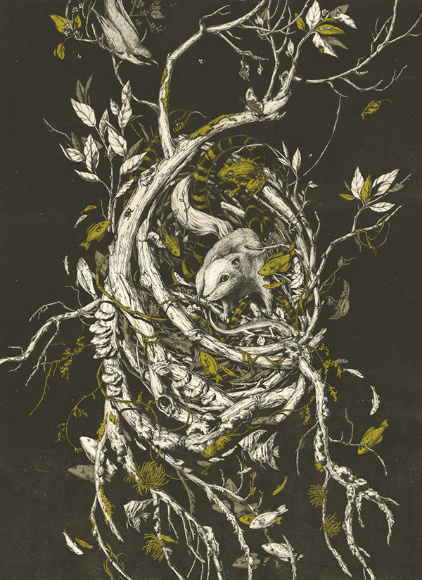 600x824 The Mangrove Tree On Behance