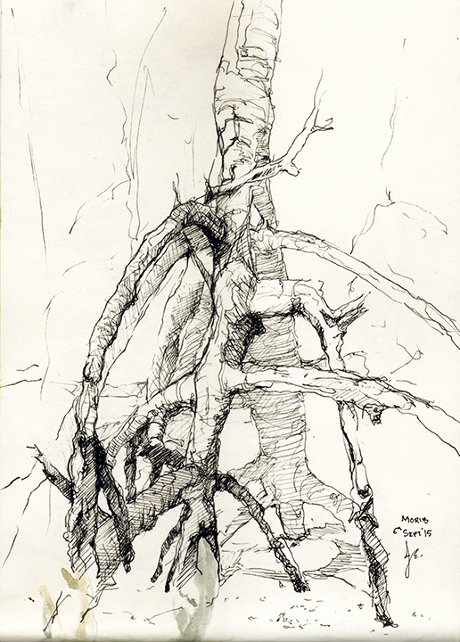 516x720 Outdoor Ink Amp Wash Sketches